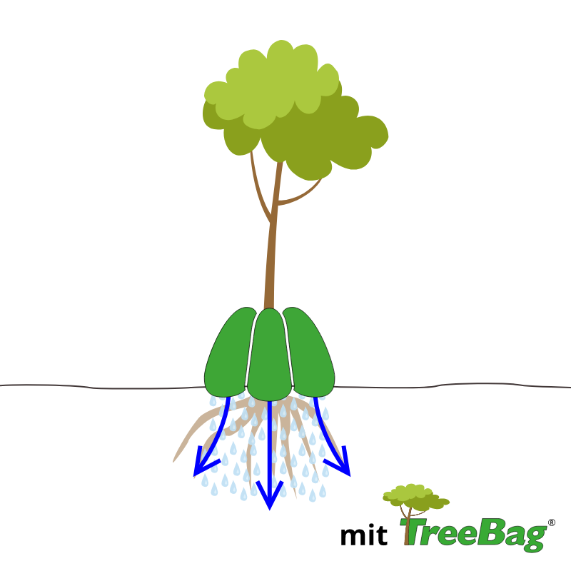 Grafik eines Baums, der mit Bewässerungssack bewässert wird. Wassertropfen dringen in den Boden.