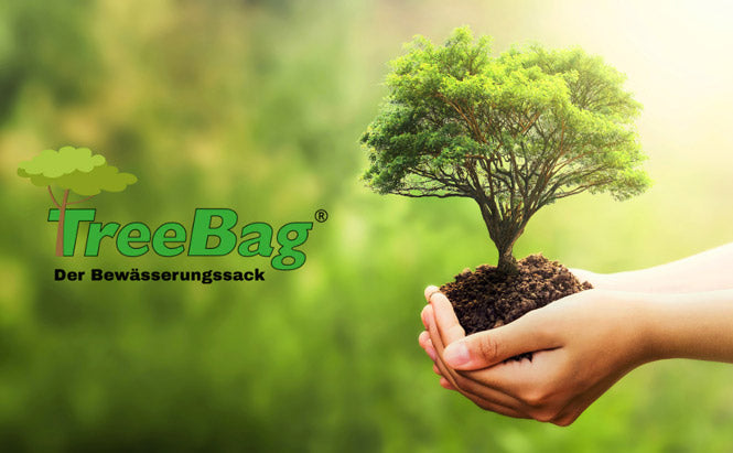 TreeBag Der Bewässerungssack: Nachhaltiges Bewässern von Bäumen